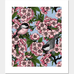 Cherry blossom and chickadees on sky blue Posters and Art